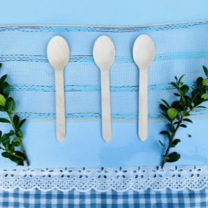 bamboo biodegradable compostable cutlery spoon