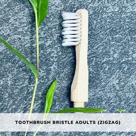 bamboo toothbrush plant based bristle adult organic sustainable