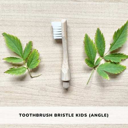 bamboo toothbrush plant based bristle kids organic sustainable angle