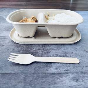 1000 ml oblong compostable container food 2 compartment