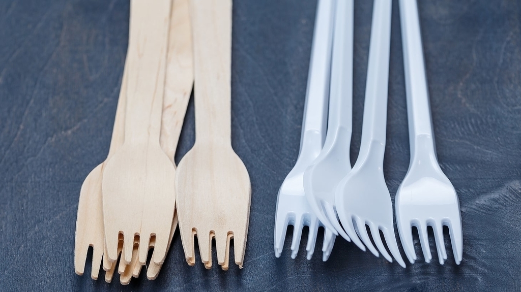 EcoLuxe Products, Sustainable, plastic, cutlery, Sustainability, Chanelle Dupre