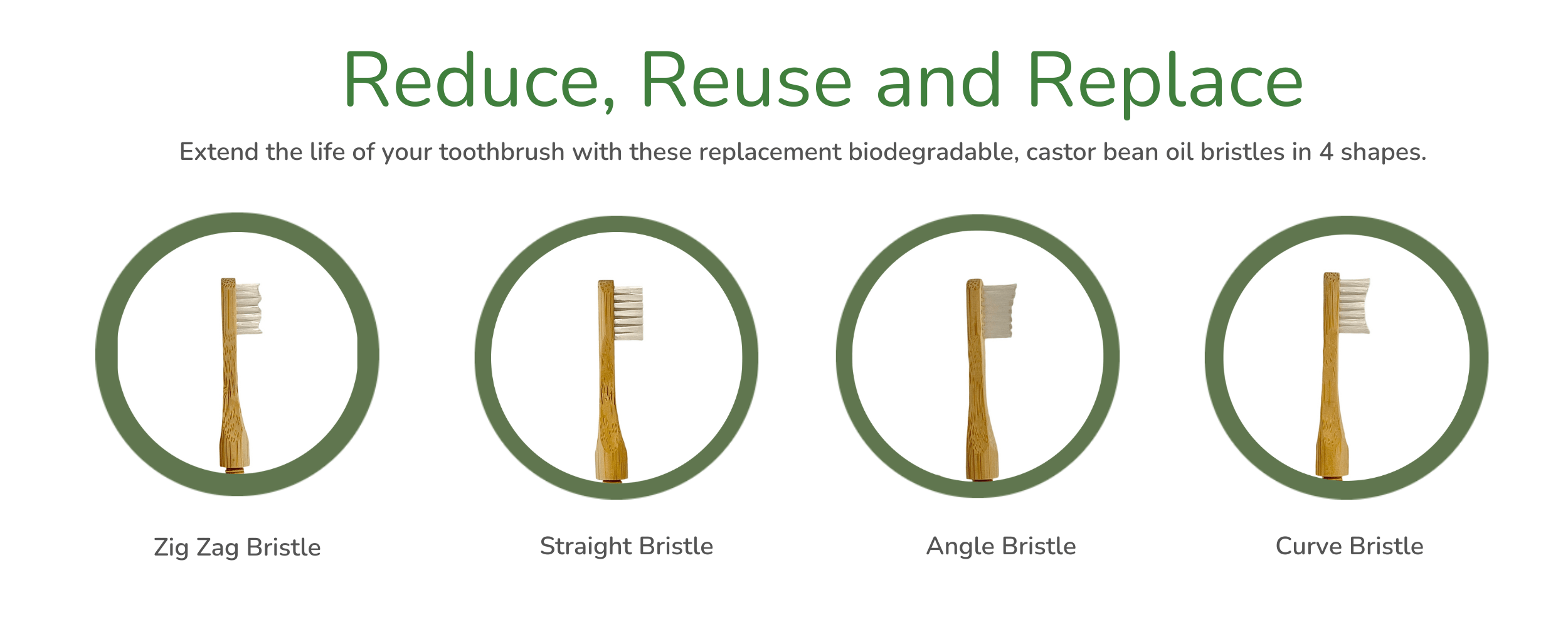 Bamboo toothbrush bristle biodegradable ecofriendly ecoluxe dental
