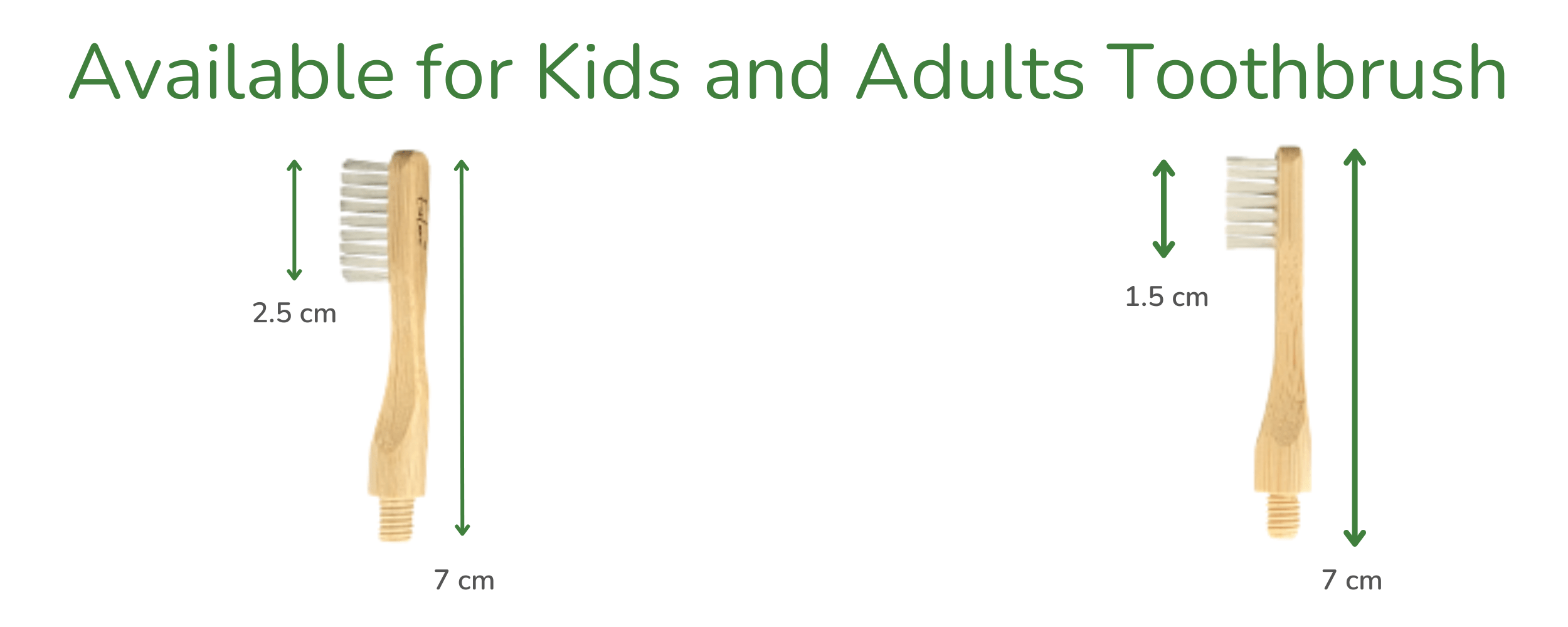 Bamboo toothbrush bristle biodegradable ecofriendly ecoluxe dental