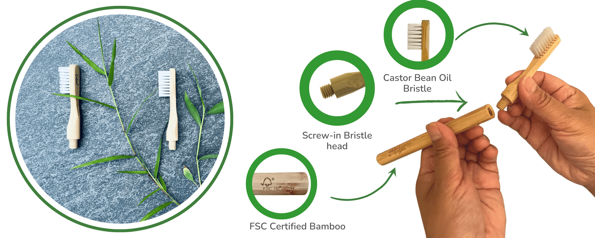 Bamboo toothbrush bristle biodegradable ecofriendly ecoluxe dental