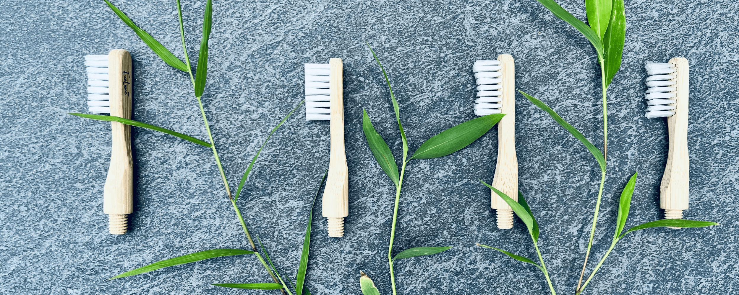 Bamboo toothbrush bristle biodegradable ecofriendly ecoluxe dental