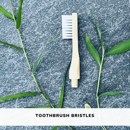 bamboo toothbrush bristle ecoluxe